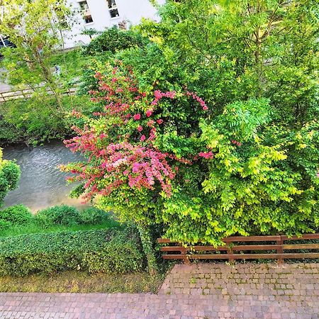 Alte Stadtmauer - Apartment Sinsheim Eksteriør billede