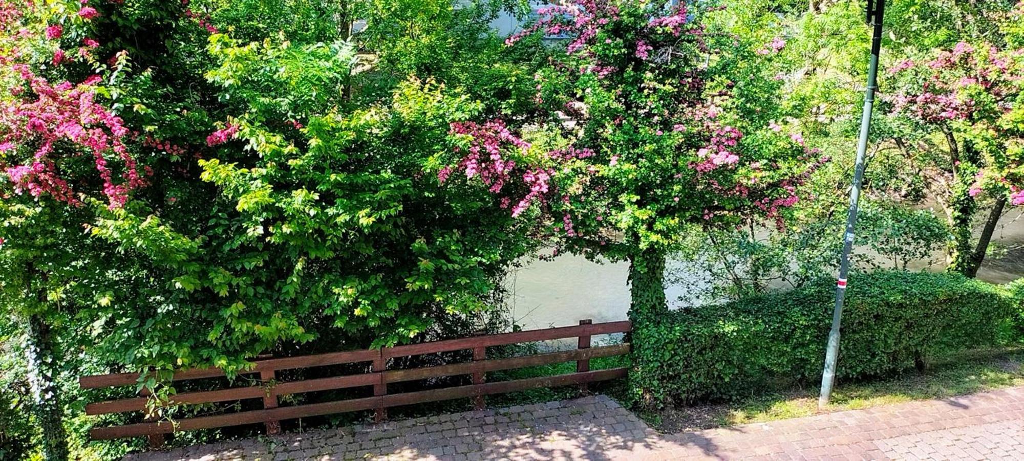 Alte Stadtmauer - Apartment Sinsheim Eksteriør billede