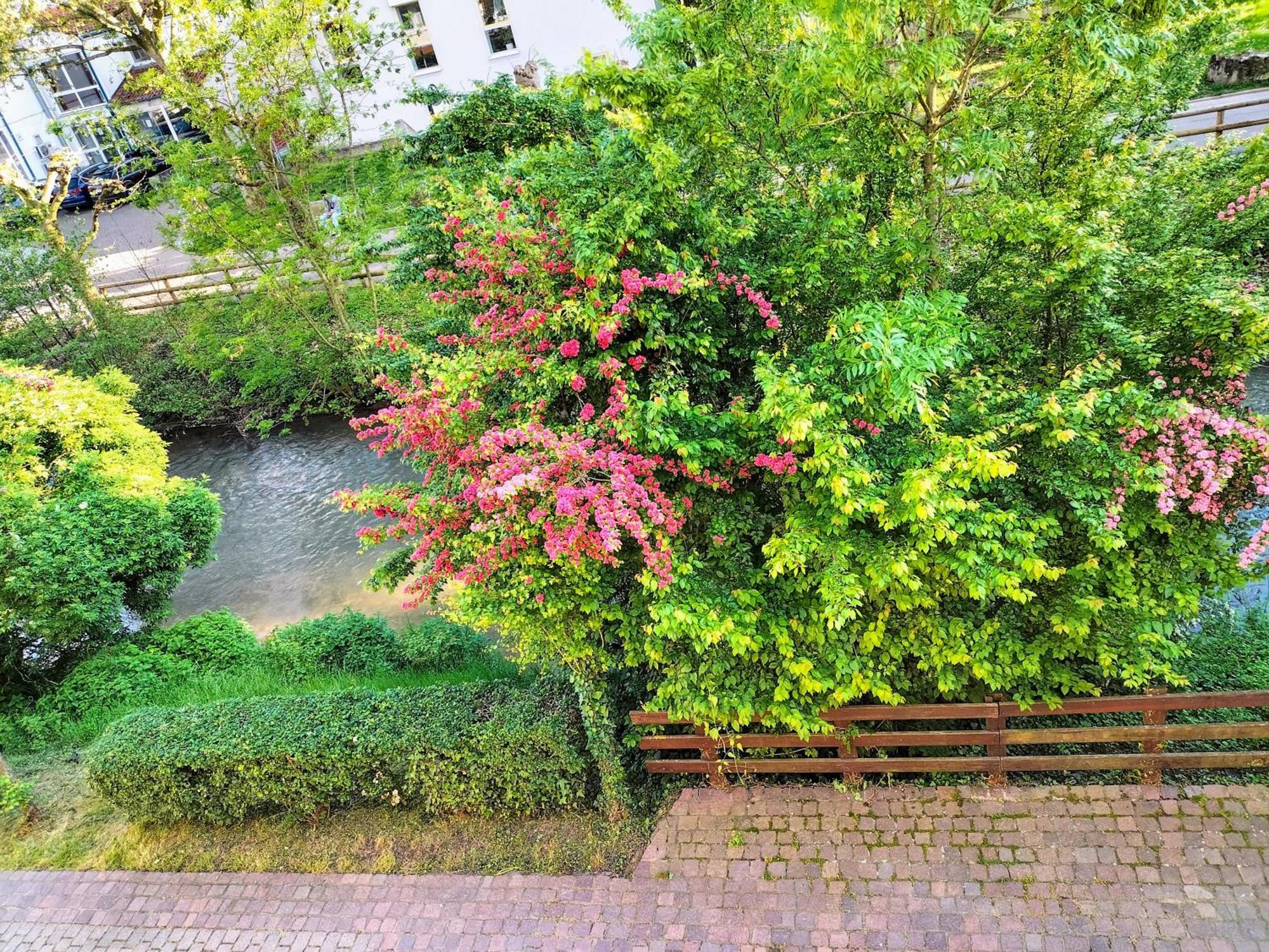 Alte Stadtmauer - Apartment Sinsheim Eksteriør billede